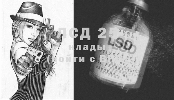 сатива Зеленокумск