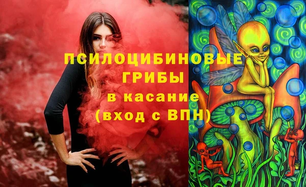 бутират Няндома