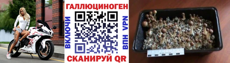 Псилоцибиновые грибы MAGIC MUSHROOMS  Северобайкальск 