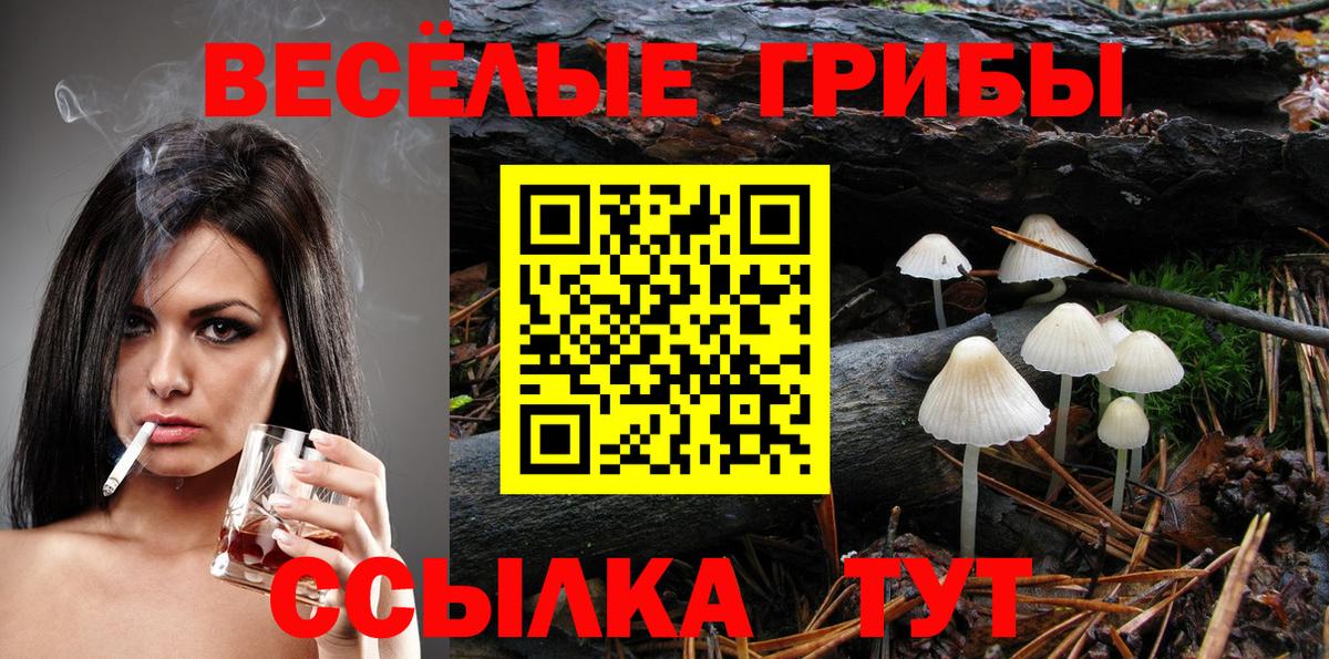 Экстази  Каннабис  Гашиш  Меф МЯУ МЯУ  Меф МЯУ МЯУ кристаллы  NBOMe  Вход с VPN  Гашиш  Северобайкальск  A PVP СОЛЬ кристаллы 