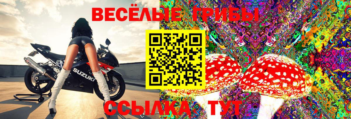Псилоцибиновые грибы Magic Shrooms Северобайкальск