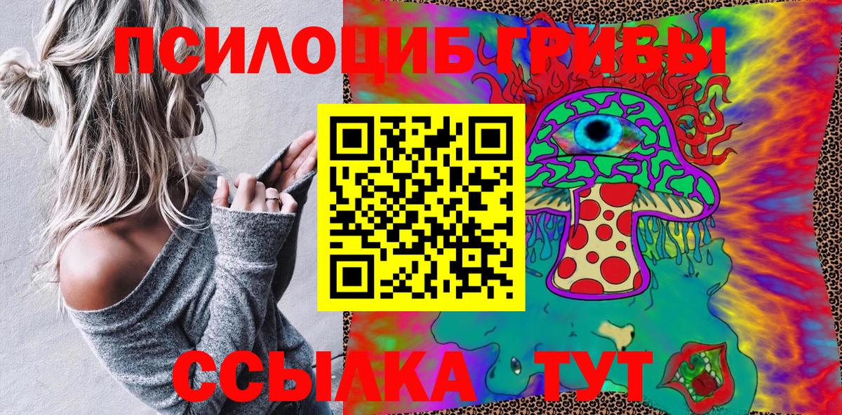 Галлюциногенные грибы Psilocybine cubensis  Псилоцибиновые грибы мухоморы  Вход с VPN  Северобайкальск 
