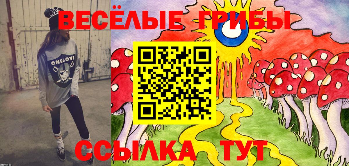 Галлюциногенные грибы ЛСД Северобайкальск