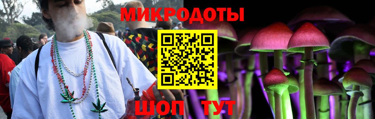 сколько стоит  Галлюциногенные грибы Psilocybe  Северобайкальск  Псилоцибиновые грибы Magic Shrooms 