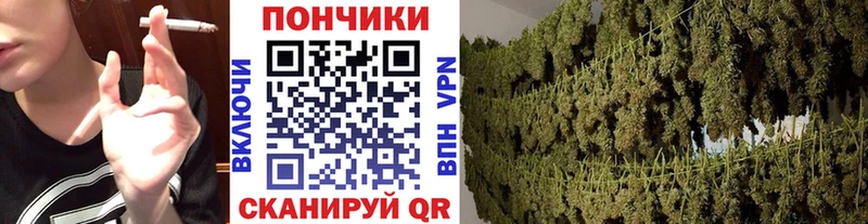 магазин продажи наркотиков  Северобайкальск  Конопля гибрид 